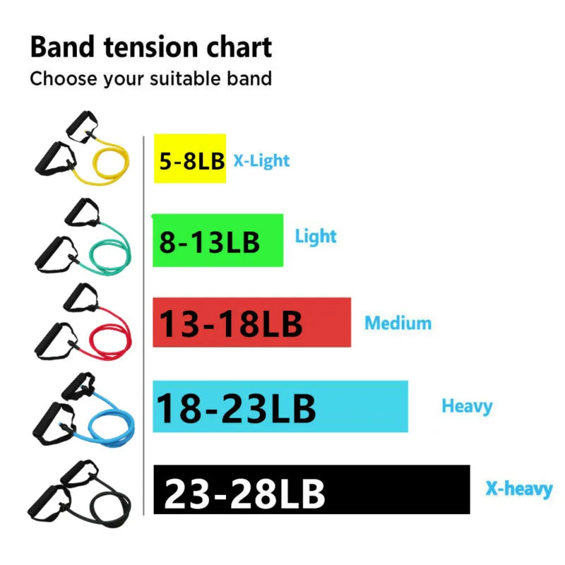 Resistance Bands Strength Training